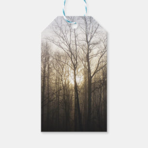 Étiquettes-cadeau Winter Fog Sunrise Nature Photographie