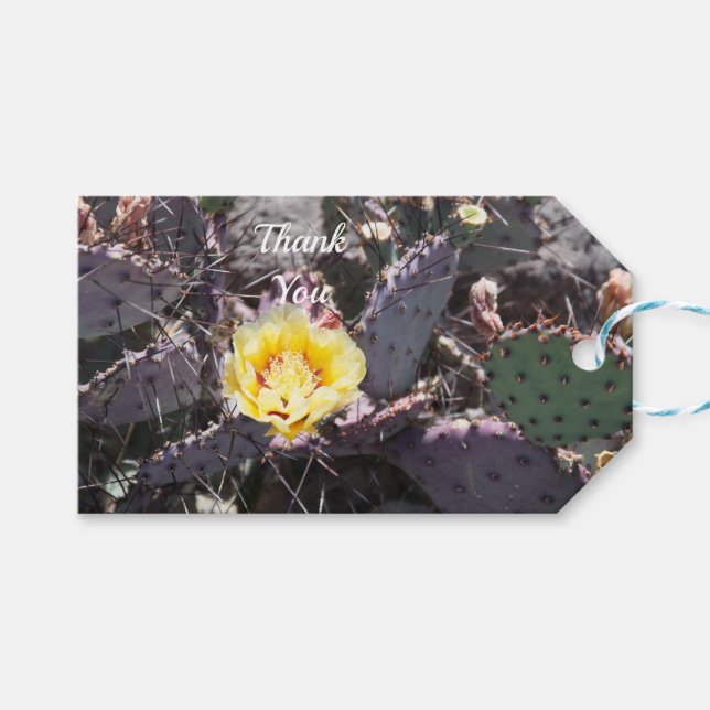 Étiquettes-cadeau Yellow cactus flower in spring (Devant (Horizontal))