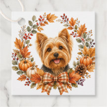 Yorkshire Terrier Automne