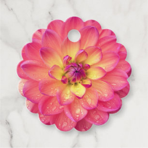 Étiquettes Cadeau Zinnia rose pêche jaune