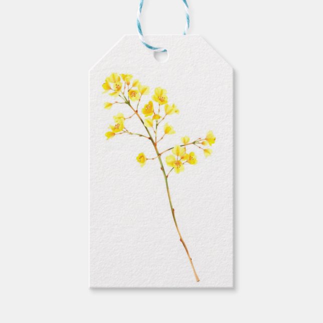 Étiquettes Cadeaux Aquarelle Mimosa Doré (Devant)