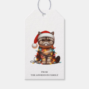 Étiquettes cadeaux de chat Exotic Shorthair