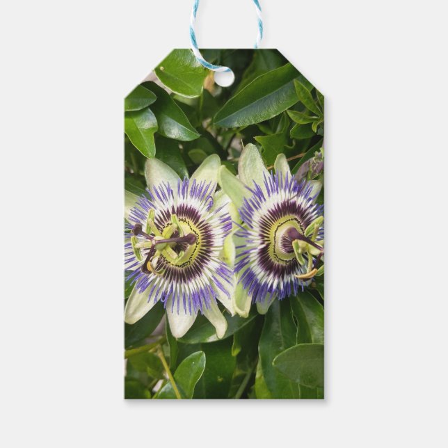 Étiquettes Cadeaux Fleur de la Passion Violette (Devant)