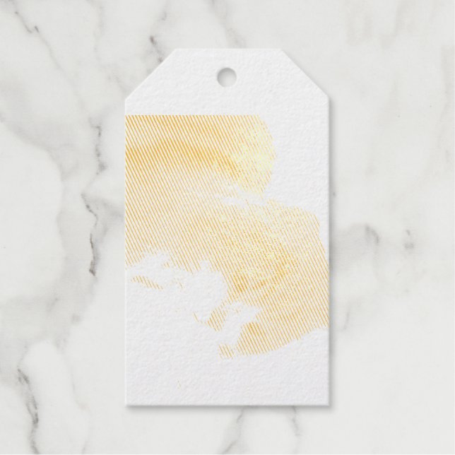 Étiquettes Cadeaux Norwegian_Forest_Cat (Recto)