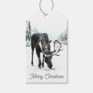 Étiquettes Cadeaux Orignal de la Forêt en Neige d'