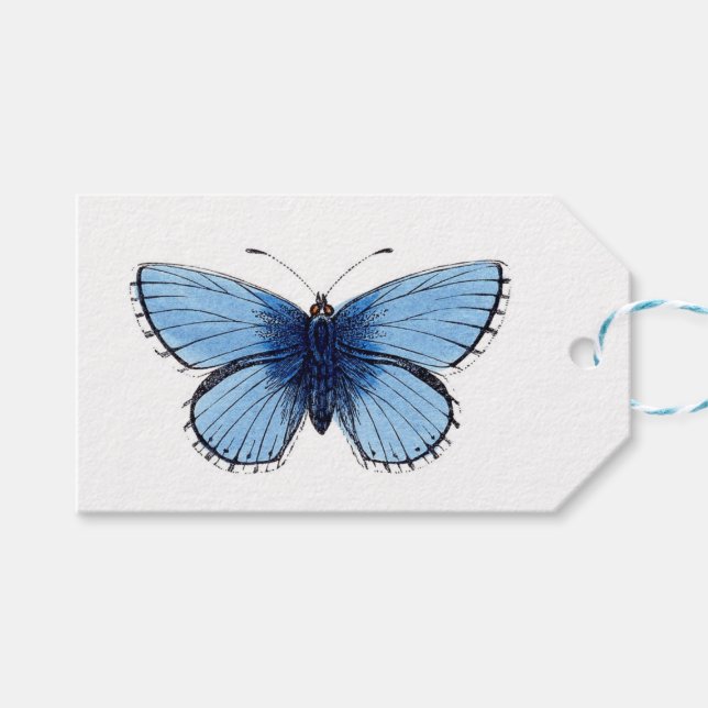 Étiquettes Cadeaux - Papillon Bleu (Devant (Horizontal))