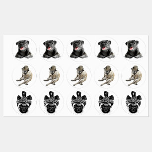 Étiquettes carlin chiens animaux animaux de compagnie art