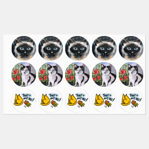 Étiquettes chat siamois