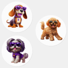 Chiens Drôle Avec Lunettes De Soleil