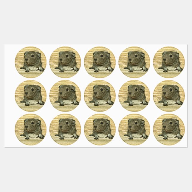 Étiquettes cobaye métallique (Feuille)