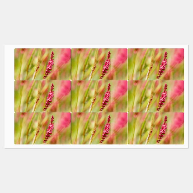 Étiquettes coloris (Feuille)
