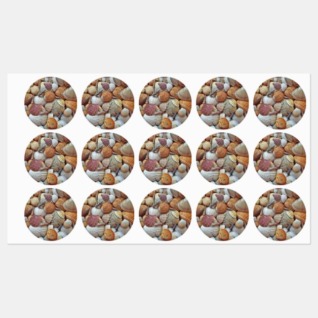 Étiquettes Coquillages (Feuille)