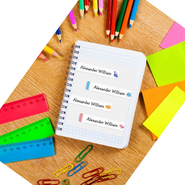 Étiquettes Cute Dino & Rainbow Waterproof /Fer On Nom Étiquet (Créateur téléchargé)