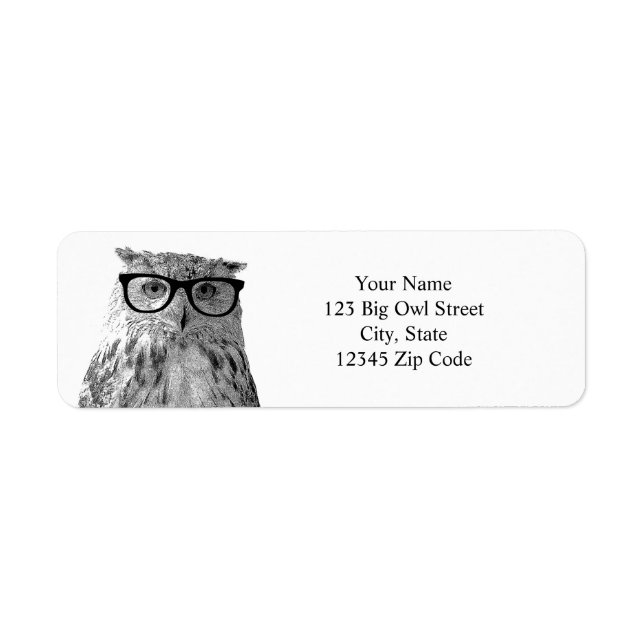 Étiquettes d'adresse de hibou drôle (Devant)