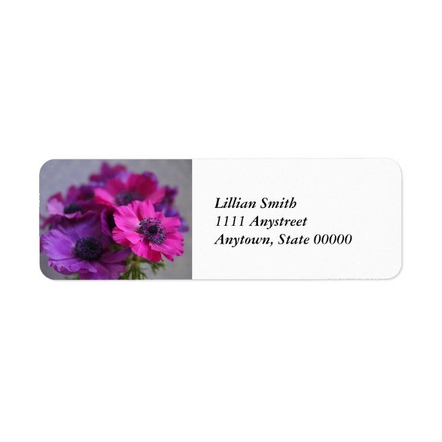 étiquettes d'adresse de retour (Devant)