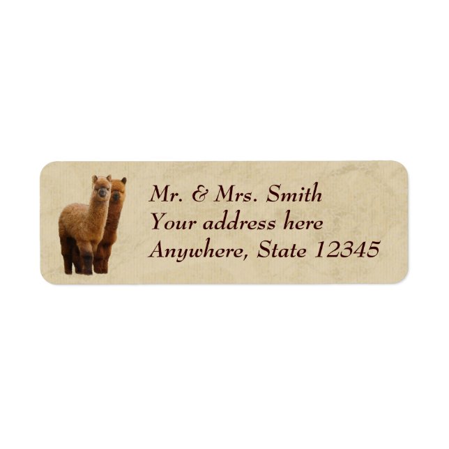 Étiquettes d'adresse de retour Alpaca (Devant)