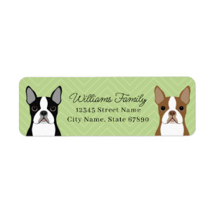 Étiquettes d'adresse de retour Boston Terrier