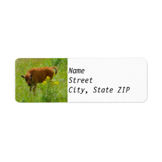 Étiquettes d'adresse de retour - Calf de bison Yel