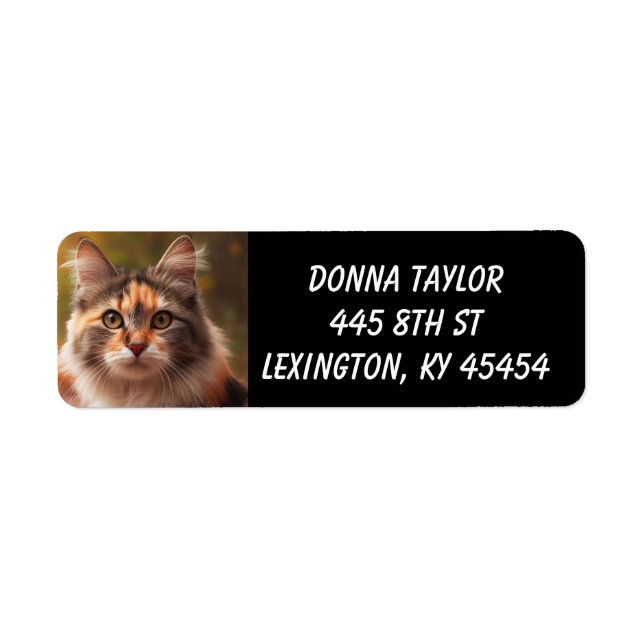 ÉTIQUETTES D'ADRESSE DE RETOUR CALICO CAT (Devant)