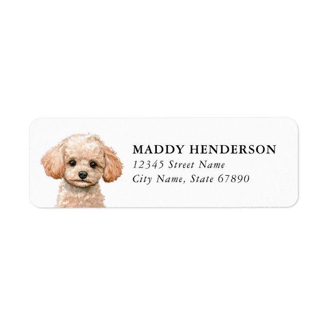 Étiquettes d'adresse de retour Caniche Jouet (Devant)
