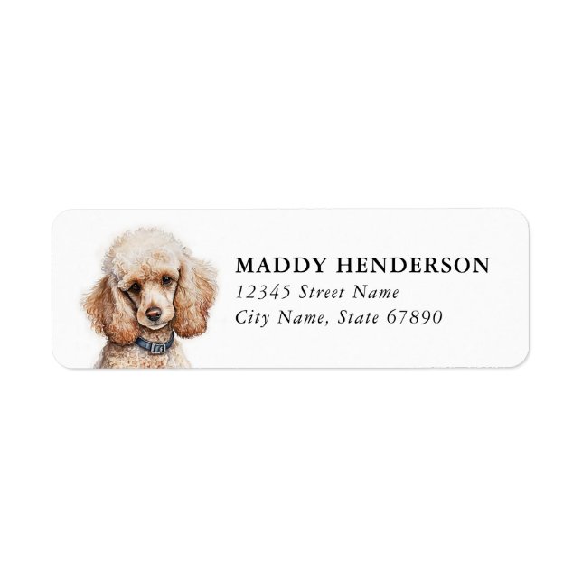 Étiquettes d'adresse de retour Caniche Jouet  (Devant)