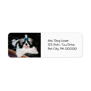 Étiquettes d'adresse de retour Chiot Shih-Tzu Mign