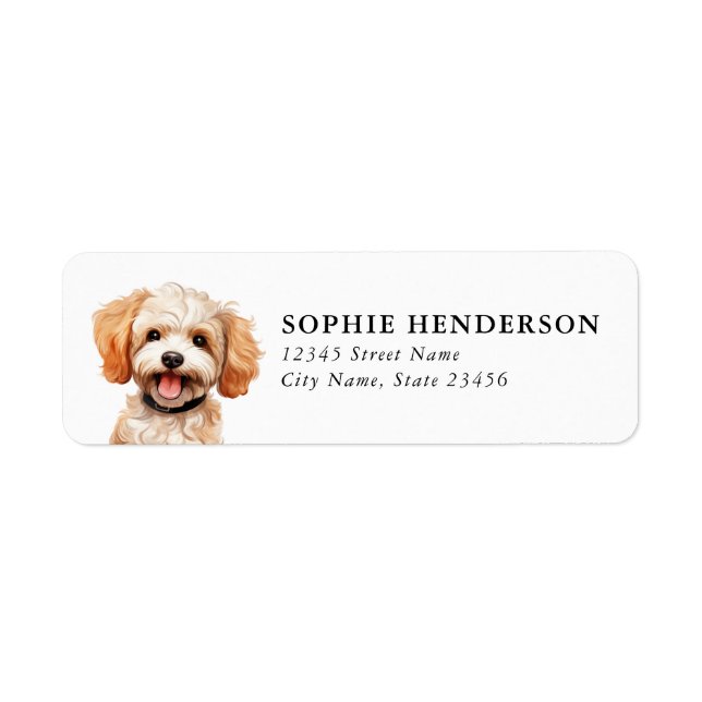 Étiquettes d'adresse de retour de Cavoodle (Devant)