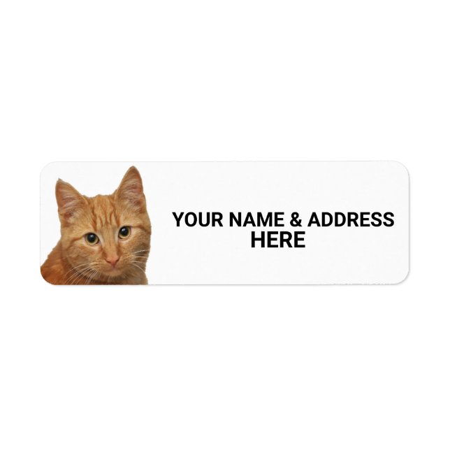 ÉTIQUETTES D'ADRESSE DE RETOUR DE CHAT GINGEMBRE (Devant)