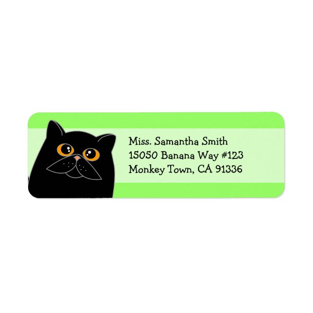 Étiquettes d'adresse de retour de chats en persan  (Devant)