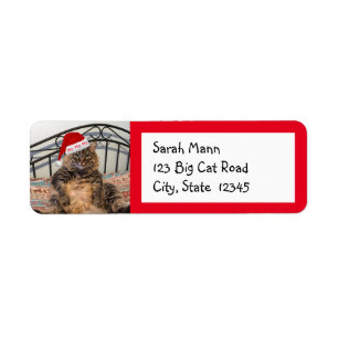 Étiquettes d'adresse de retour de chats Père Noël