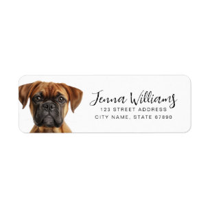 Étiquettes d'adresse de retour de chien de boîte