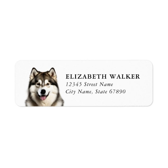 Étiquettes d'adresse de retour de chien Husky (Devant)