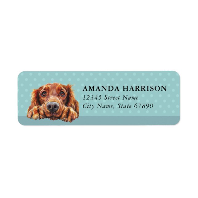 Étiquettes d'adresse de retour de chien Setter Irl (Devant)