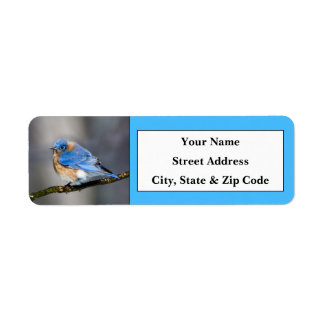 Étiquettes d'adresse de retour de l'oiseau bleu de