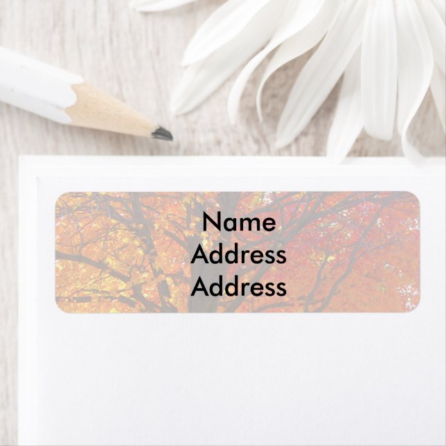 Étiquettes d'adresse de retour de lumière de l'aut (En situation)