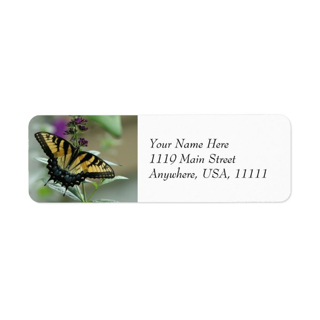 Étiquettes d'adresse de retour de papillon Swallow (Devant)