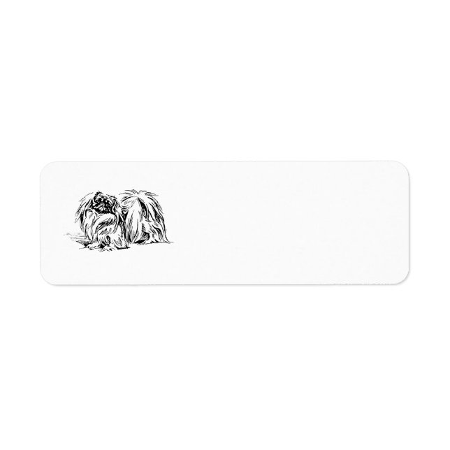 Étiquettes d'adresse de retour de Pékinois (Devant)