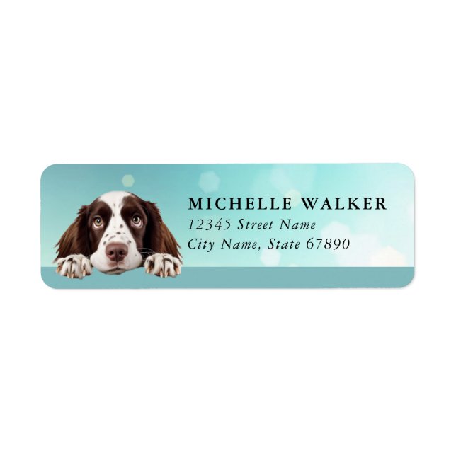 Étiquettes d'adresse de retour de Springer Spaniel (Devant)