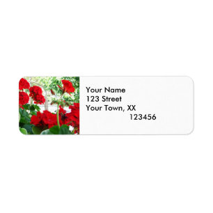 Étiquettes d'adresse de retour des Geraniums rouge