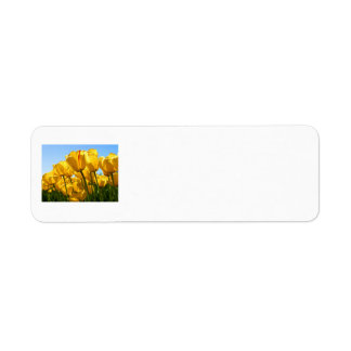 Étiquettes d'adresse de retour des tulipes jaunes