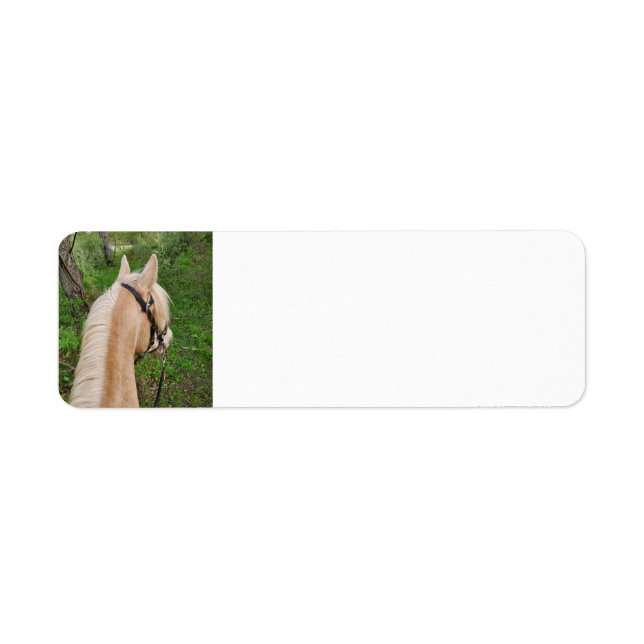 Étiquettes d'adresse de retour du cheval (Devant)