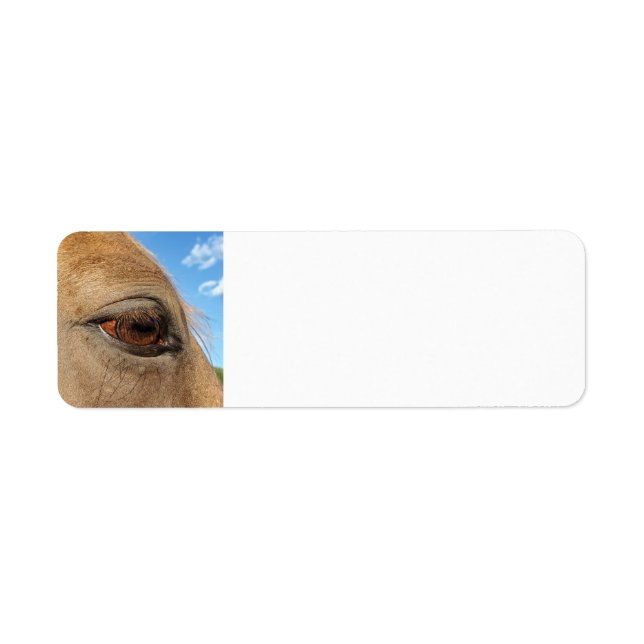 Étiquettes d'adresse de retour du cheval (Devant)