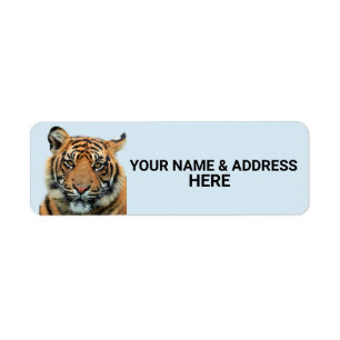 ÉTIQUETTES D'ADRESSE DE RETOUR DU TIGRE BENGAL