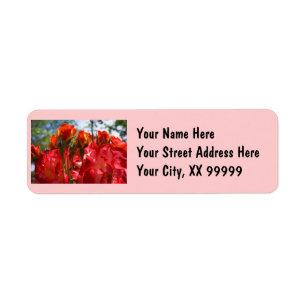 Étiquettes d'adresse de retour Fleurs de rose roug