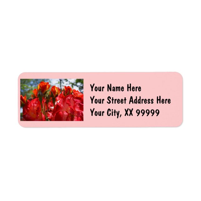 Étiquettes d'adresse de retour Fleurs de rose roug (Devant)