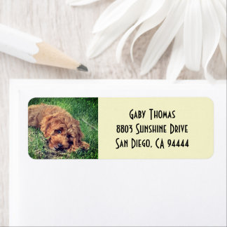 Étiquettes d'adresse de retour Golden Doodle