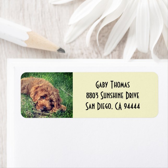 Étiquettes d'adresse de retour Golden Doodle (En situation)