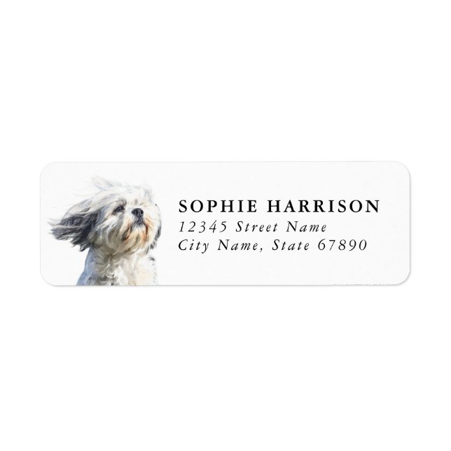 Étiquettes d'adresse de retour Lhasa Apso (Devant)