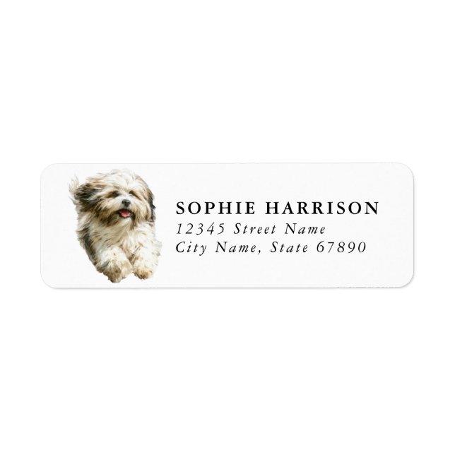 Étiquettes d'adresse de retour Lhasa Apso (Devant)