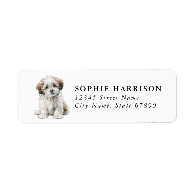 Étiquettes d'adresse de retour Lhasa Apso (Devant)